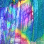 shop_kinubokashi16
